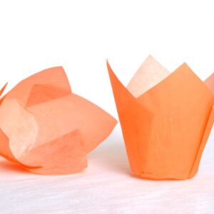 Pirottini Tulipano Colorati - 180pz